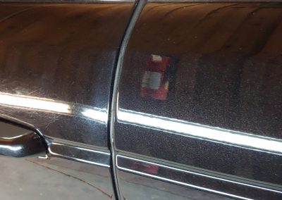 DENT STATION PLUS - buff